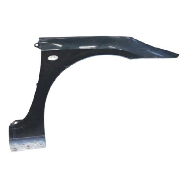 Paralama Dianteiro Direito Peugeot 307  2006 (detalhe).