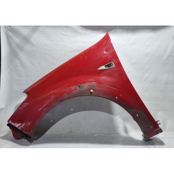 Paralama Esquerdo Renault Sandero Stepway 2010 Detalhe