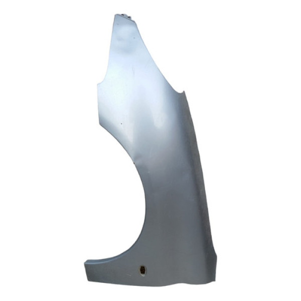 Paralama Esquerdo Peugeot 206 2006 Detalhe